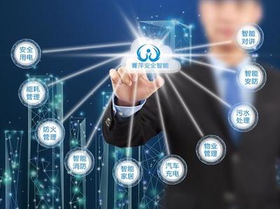 祝贺成都菁萍网络与公司签署网站建设协议，网络建设与开发开启新篇章